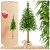 ŚWIERK PE ALASKA NA PNIU CHOINKA JAK ŻYWA SZTUCZNA 160cm PIĘKNY GĘSTY