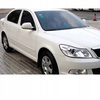 Kierunkowskazy LED standard dymione Skoda Octavia II 1Z3 Superb II 3T4