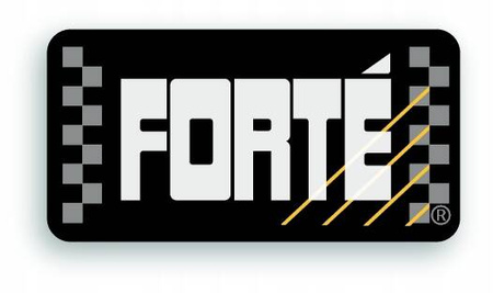 Forte Advanced Diesel Fuel Conditioner Do Diesela Czyści Układ Paliwowy EGR