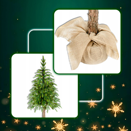 ŚWIERK PE ALASKA NA PNIU CHOINKA JAK ŻYWA SZTUCZNA 160cm PIĘKNY GĘSTY